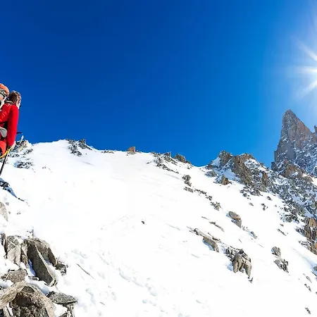 Apartment Androsace 41 Chamonix
